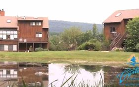 Mountain Creek Condo, Chic, Comfy Vernon Nj